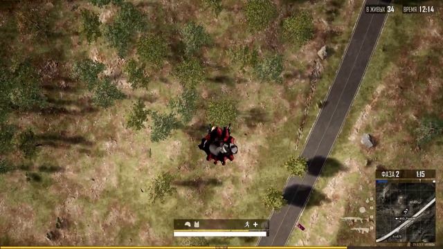 Горный орёл приметил мышь полёвку смотреть онлайн