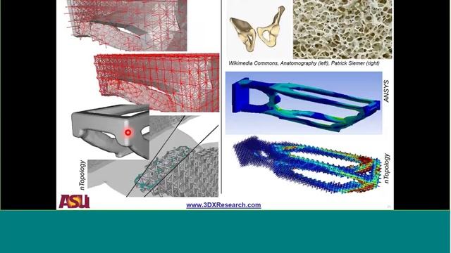 TRX Webinar: AM of Cellular Materials - An Overview of Considerations 20180906 смотреть онлайн