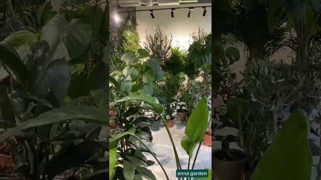 Адрес магазина смотреть онлайн