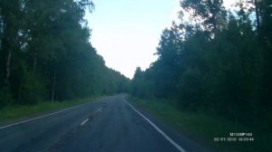 Семья медведей в Карелии