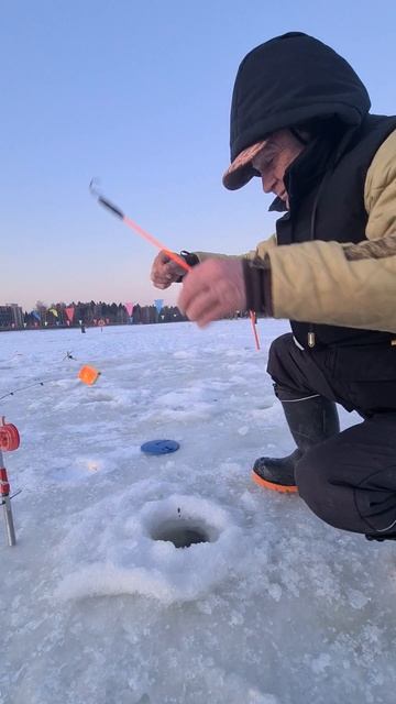 Поимка форели смотреть онлайн