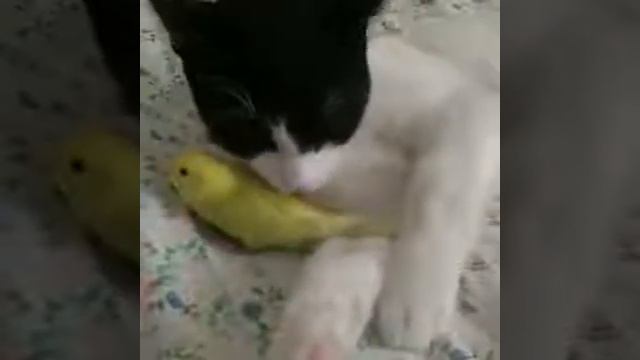 Ими..... смотреть онлайн