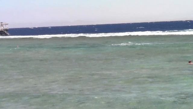 Египет Что на пляже  Отеля CHARMILLION SEA LIFE RESORT