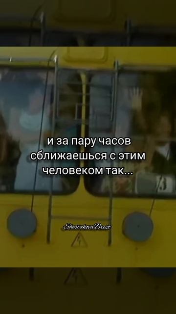 Жизнь полна удивительных встреч😉 смотреть онлайн