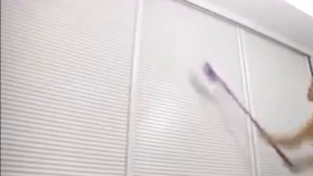 Folding Cube Wash and Dry Double Spinner Spin Mop смотреть онлайн