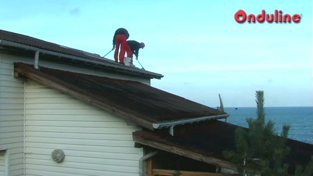 ONDUPAINT (ОНДУПЕЙНТ)