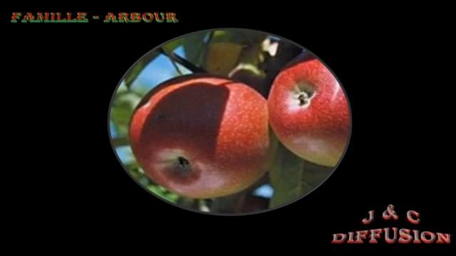 Je ne sais pourquoi смотреть онлайн