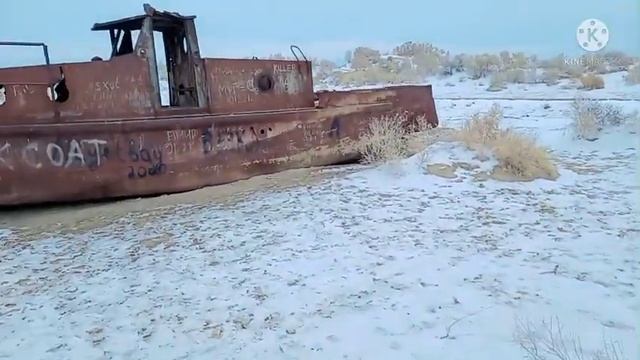 Мойнак Арал 2022... смотреть онлайн