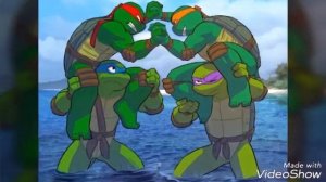 Черепашки ниндзя | Лео и Раф, Донни и Микки