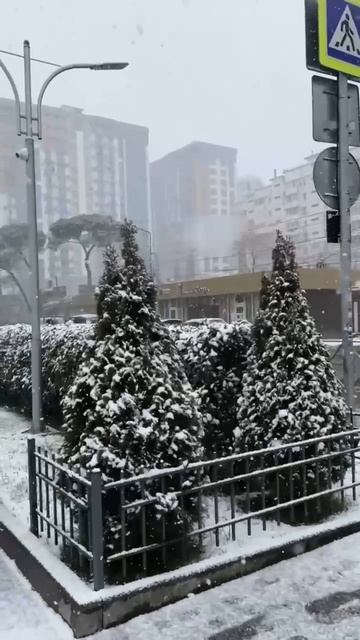 Сочи завалило снегом — впервые за 10 лет столицу курортов занесло сугробами под 30 см. смотреть онлайн