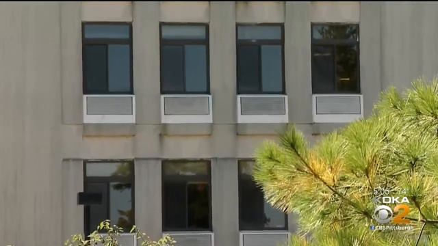 Scott Twp. Kane Community Living Center Reports 10 Deaths From Coronavirus смотреть онлайн