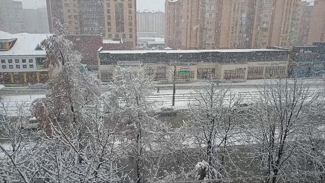 Снег в городе