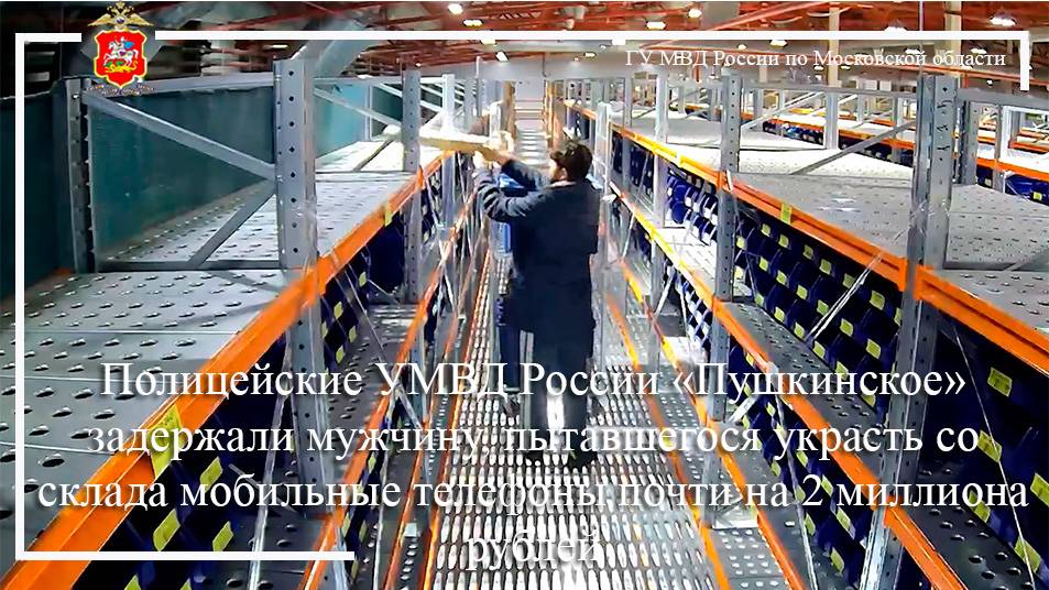 Полицейские в Пушкино задержали мужчину, пытавшегося украсть со склада мобильные телефоны смотреть онлайн