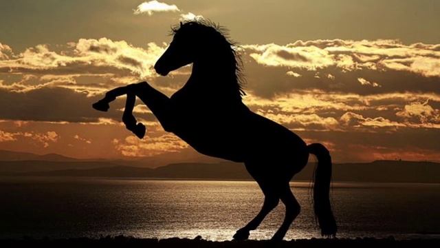 ШАШТЫ әңгімесі 2-БӨЛІМ смотреть онлайн