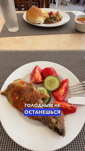 Куда не стоит ехать в Хургаде #тревел24 #египет #shorts смотреть онлайн