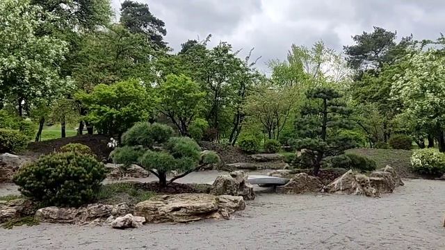 Весна. Сирень и сакура. 18 - 19.04.2024 г. смотреть онлайн