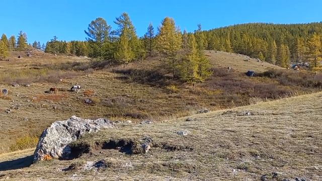 Перевал Кату-Ярык смотреть онлайн