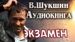 Василий Шукшин. Экзамен. Аудиокнига. Рассказ. #литература