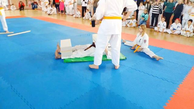 Показательное выступление Тамэсивари АНО ЦСП "Тэнгу Про" смотреть онлайн