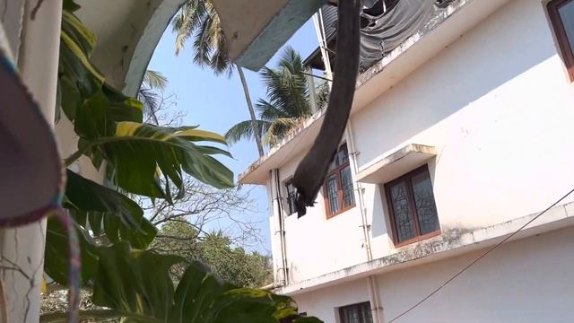 3 февраля 2023 г. смотреть онлайн