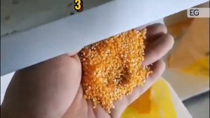 Линия для производства кукурузной крупы