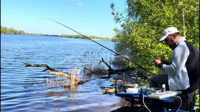 Ловля ЛЕЩА на Москва реке. Май 2024 #рыбалка #фидер смотреть онлайн