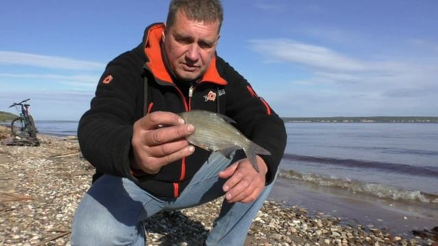 Майская рыбалка на реке. Рыба встала стеной - плотва, густера, подлещик на опарыш