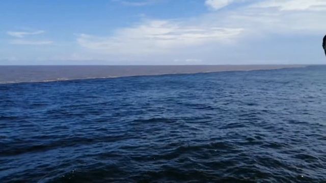 Галоклин у берегов Гаяны. Halocline Near Coast  Of Guyana
