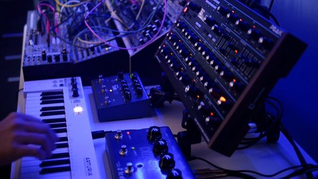 'Palancar Reef' Ambient Loop Improv. (Peak, Timeline, Ditto X4)