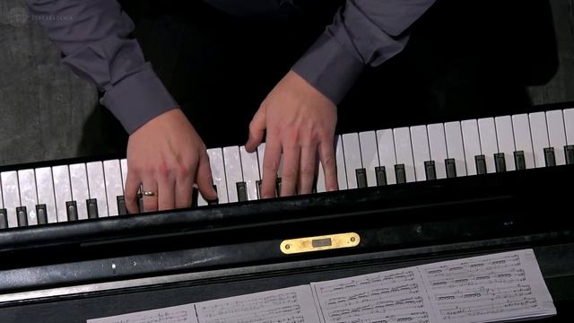 Slavík, Jolana: Die drei Zigeuner, F. Liszt смотреть онлайн