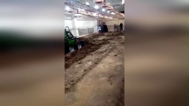 Видеоотзыв. Мини-погрузчик FRONTMEN 320 в цеху напольного содержания кур смотреть онлайн