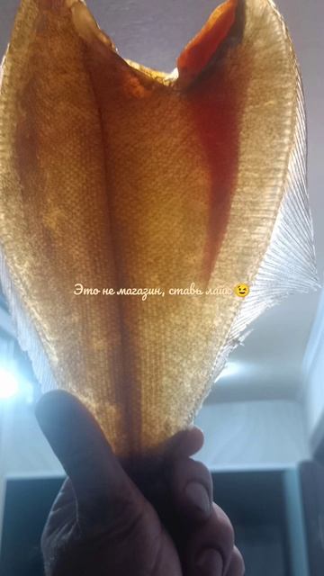 свежайший вяленый морской ёрш с баренцево моря, это не магазин 😉, это  натурально