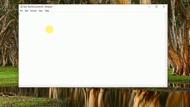 How To Create Personal Dogecoin Wallet In My.dogechain.info