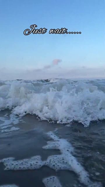 #titanic#shorts #trending #shorts #celine Dion#music смотреть онлайн