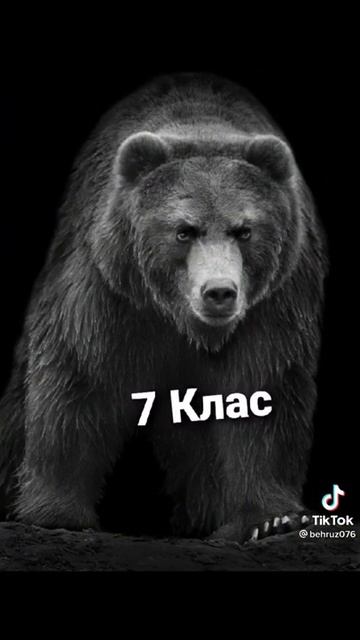 классы. смотреть онлайн