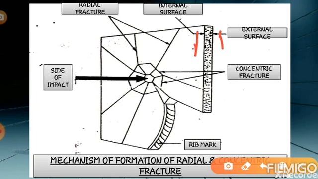 Types of glass fracture смотреть онлайн