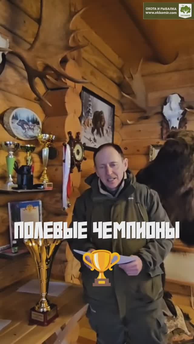 Полевые чемпионы. #охота #ссобаками смотреть онлайн