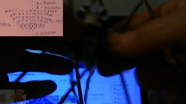 Подробное с замерами и пояснениями Детские_Носочки Вязания_ЖАККАРДОВЫЕ_УЗОРЫ# смотреть онлайн