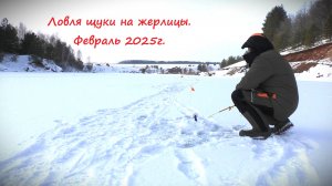 "Горели флажки..." Зимняя рыбалка на жерлицы в глухозимье. Февраль 2025.