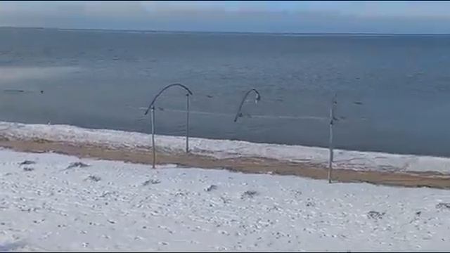 Приморско Ахтарск 13.01.2023 смотреть онлайн