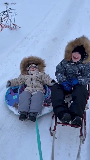 26-02-2025 на саночках 🛷