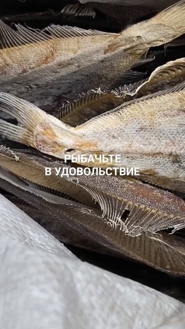 Готовый вяленый ёрш.