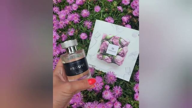 PROUVE' WITH STEFANIA смотреть онлайн