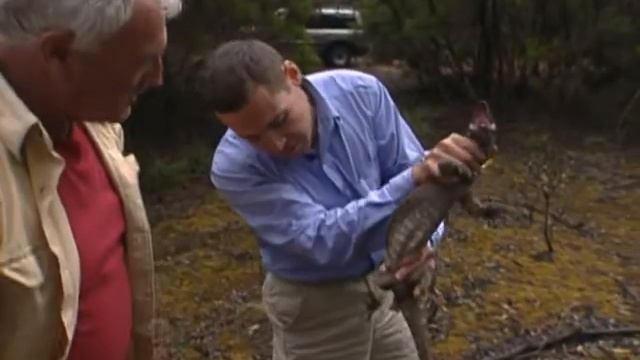 Бесстрашный Джеф Корвин смотреть онлайн