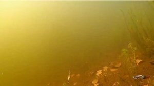 Зимняя блесна  Малек, видео игры.