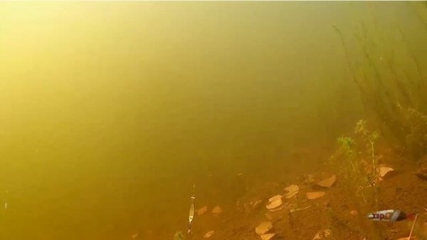 Зимняя блесна  Малек, видео игры.