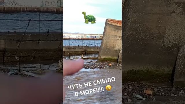 Алушта КРЫМ 😀 ЧУТЬ НЕ СМЫЛО В МОРЕ ЧЕРЕПАХУ И МЕНЯ ТОЖЕ)) #Shorts смотреть онлайн