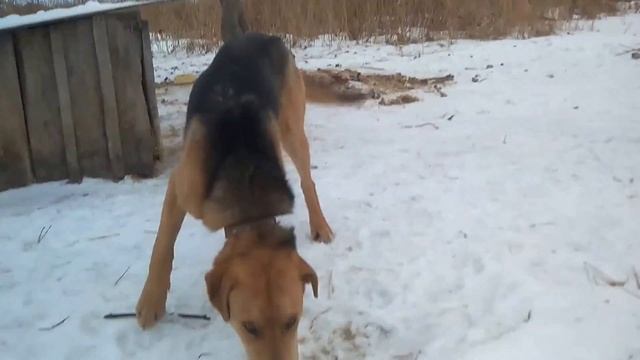 Плакун (13 февраля - 7 месяцев) смотреть онлайн