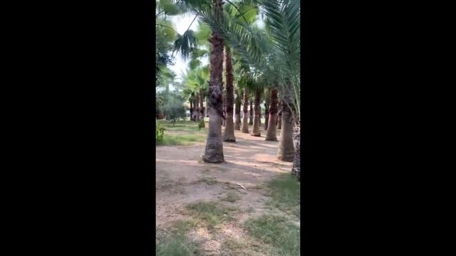 Seaden Sea World Resort & Spa