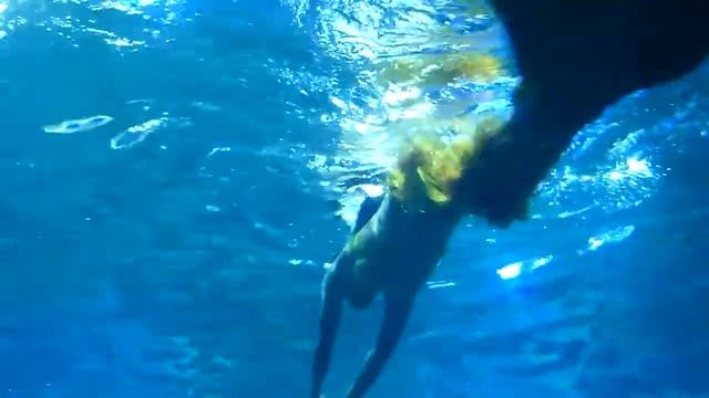 The little Mermaid show in Time city Aquarium смотреть онлайн